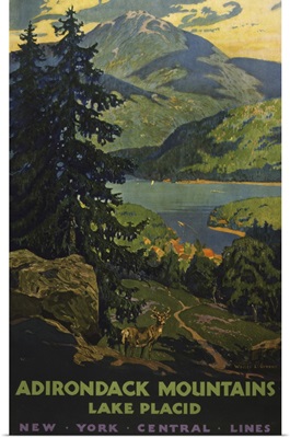 Vintage Travel Poster For The Adirondack Mountains Of Lake Placid And A Stag, 1920