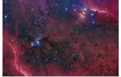 Widefield view in the Orion constellation