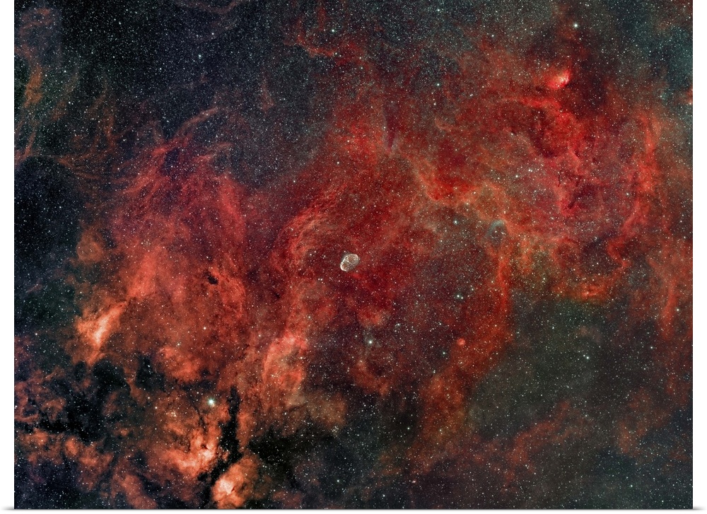 Widefield view of the Crescent Nebula, also known as NGC 6888.