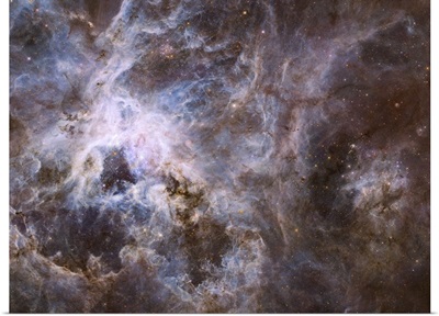 Widefield view of the Tarantula Nebula