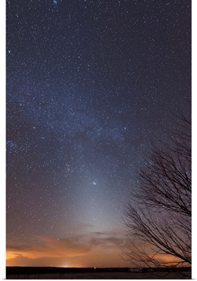 Zodiacal Light and Milky Way over the Texas plains