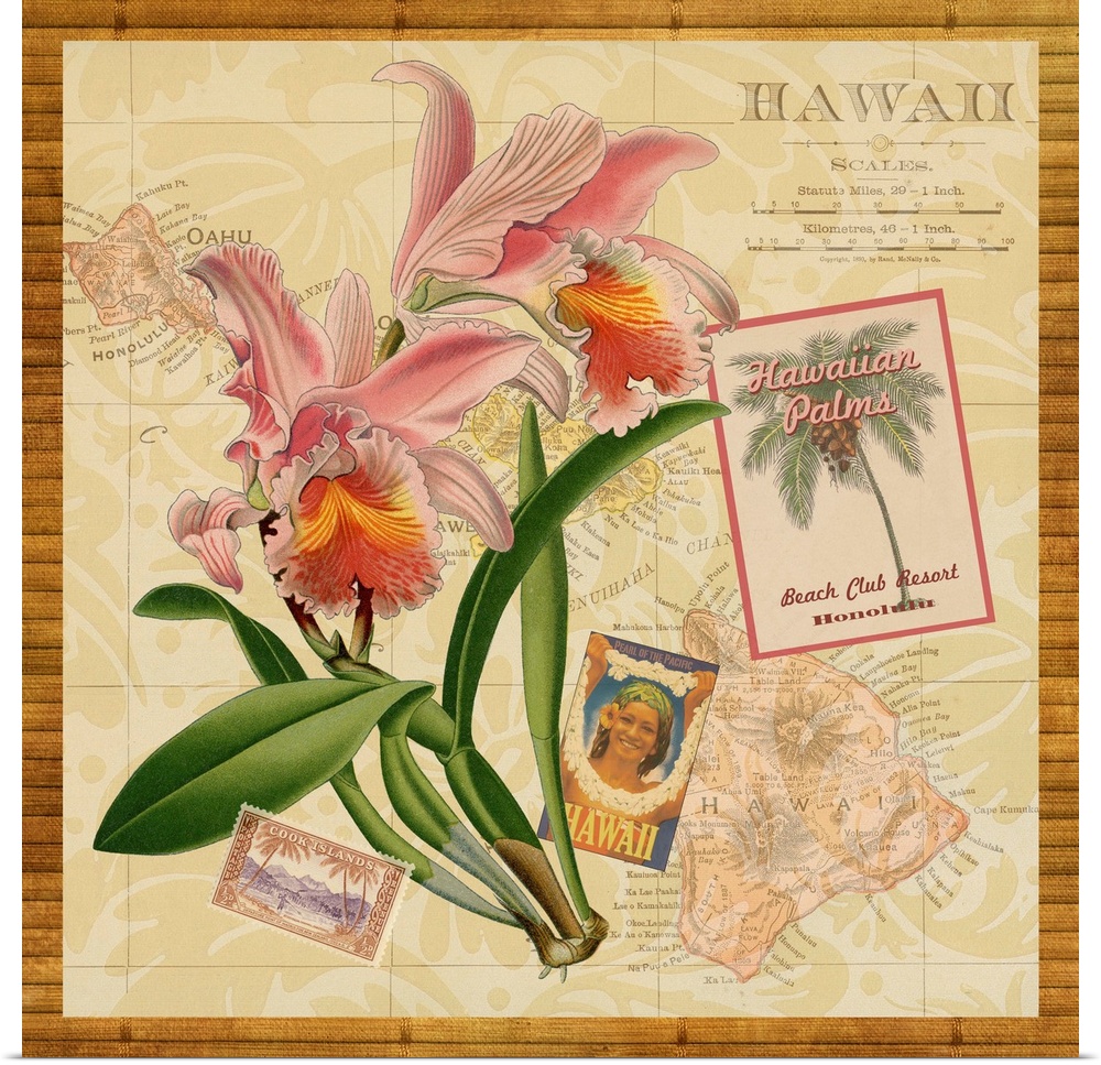 Hawaiian-themed collection of vintage illustrations.
