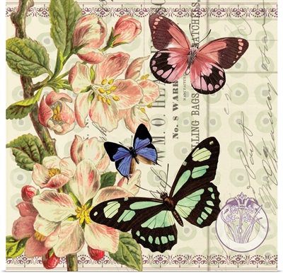Butterfly Botanical III
