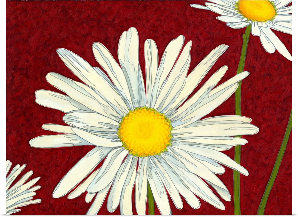 White daisies on a deep red background.