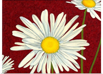 Daisy on Red