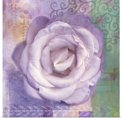 Lavender Rose I