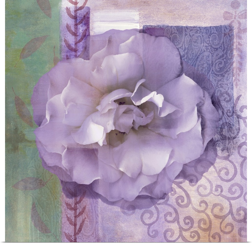 Lavender Rose II