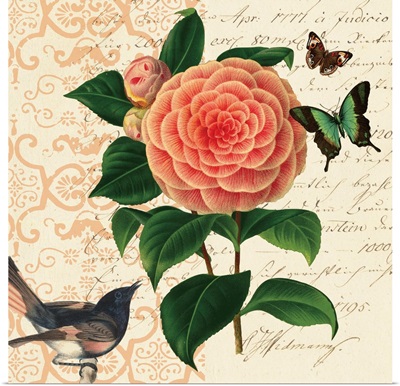 Scroll Botanical Camellia