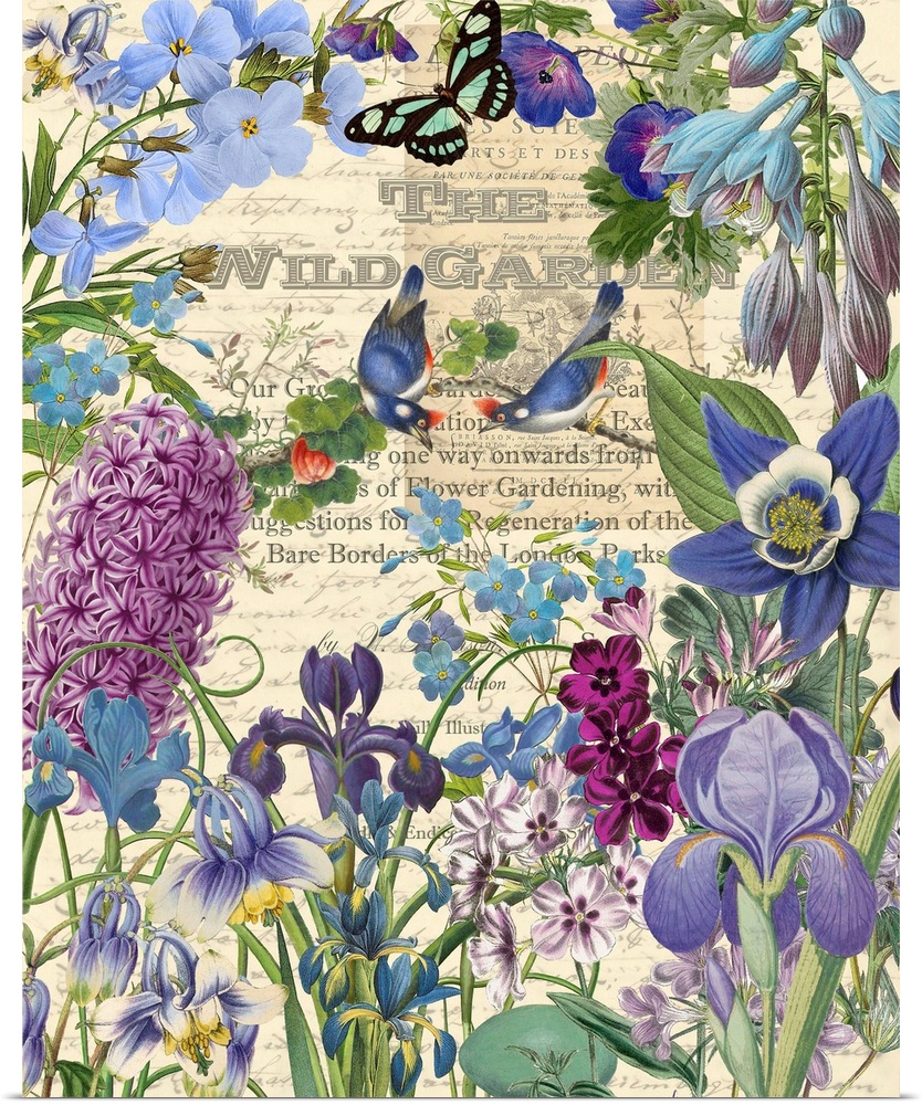 Vintage illustrations of irises and birds arranged in a garden scene.