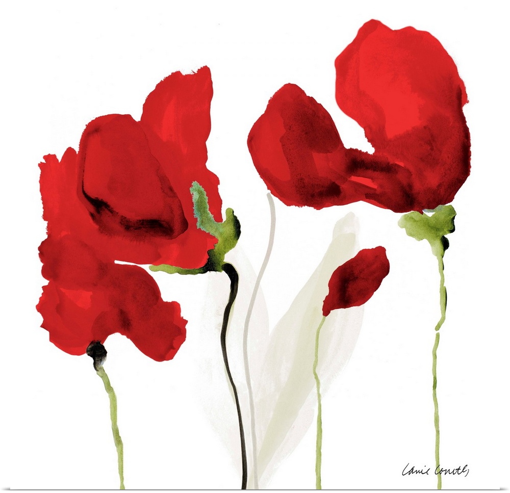 Square watercolor painting of red poppy flowers on a white background.