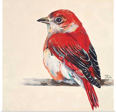 Baby Red Bird II