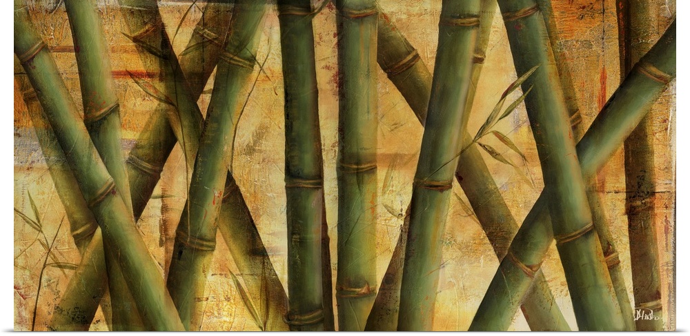 Bamboo Forest I