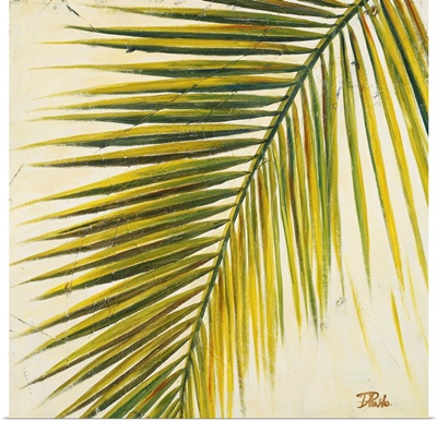 Baru Palm I