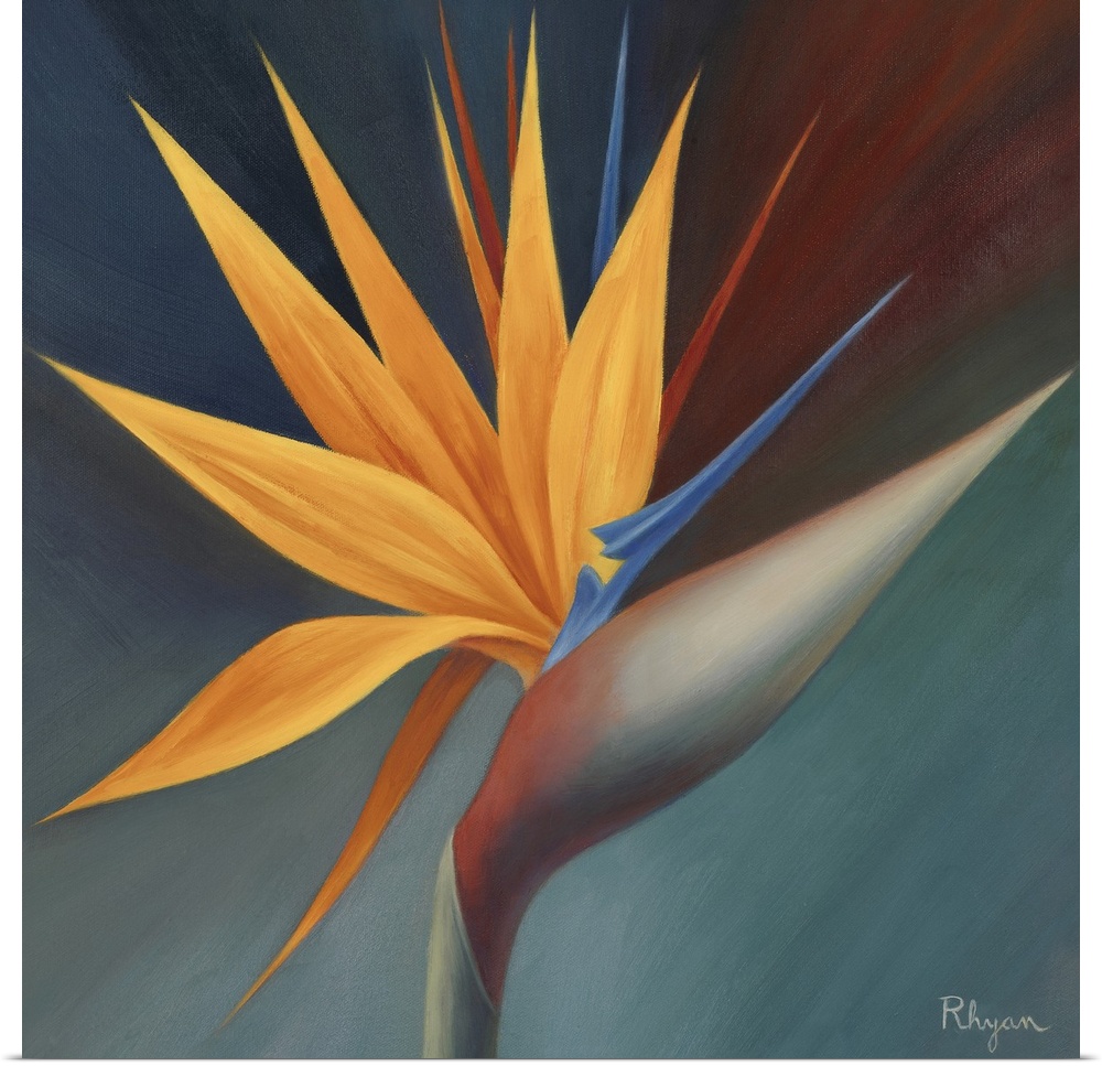 This is a square painting by a contemporary artist of a spikey, tropical plant against a dark, simple backdrop.