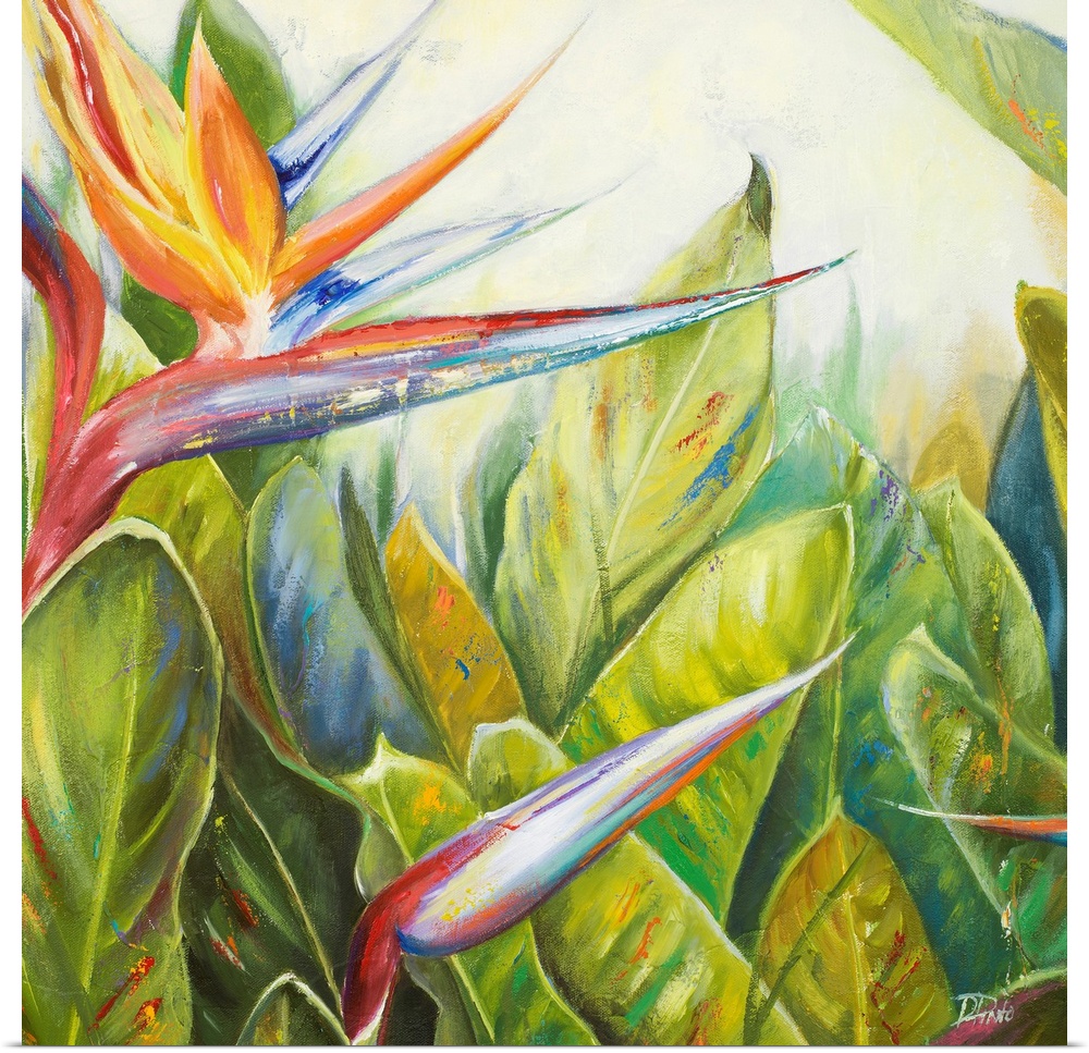 Square, giant floral painting of two bird of paradise flowers, one bloomed, amongst a large bunch of big green leaves exte...