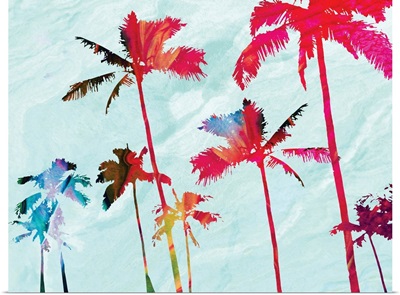 Colorful Beach Palms