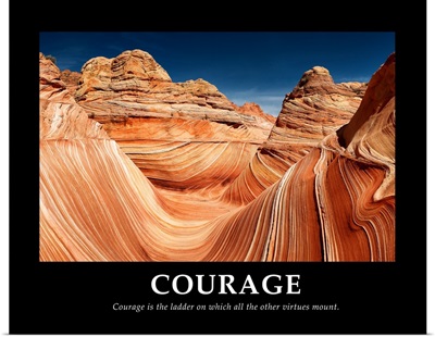 Courage is the Ladder on which all other Virtues mount