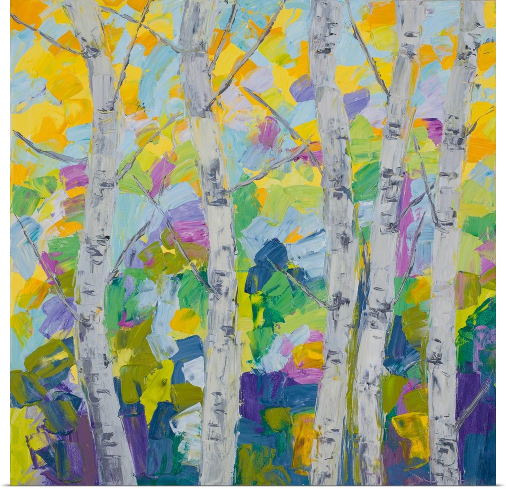 A group of birch trees with colorful autumn leaves.