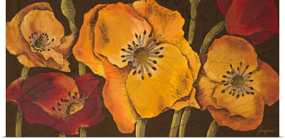 Panoramic artwork of blooming poppy flowers and stems in vibrant tones against a dark background.