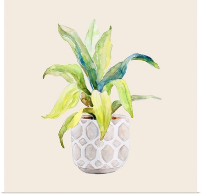 Decorative Potted Plant I