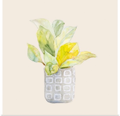 Decorative Potted Plant II