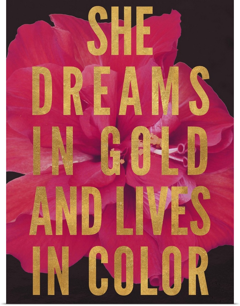 Block text that reads "She dreams in gold and lives in color" over an image of a red flower.