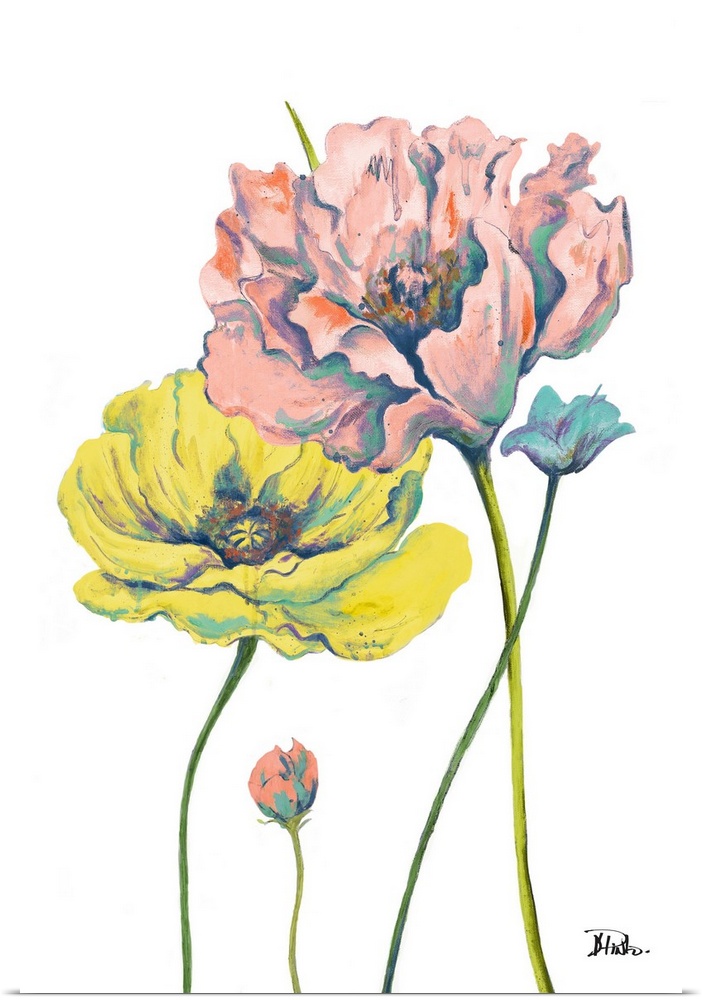 Brightly colored painting of two large blooming poppies and two small buds.