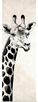 Giraffe I