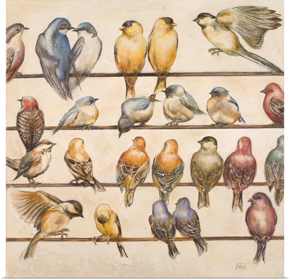 Contemporary artwork of a group of birds in pairs perched on lines, including goldfinches, swallows, and chickadees.
