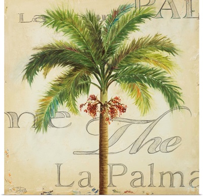 La Palma II