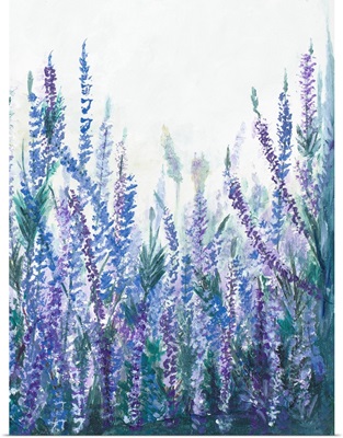 Lavender Garden II