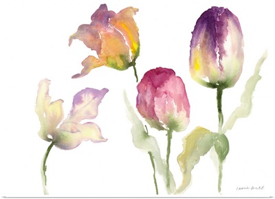 Lavender Hues Tulips I