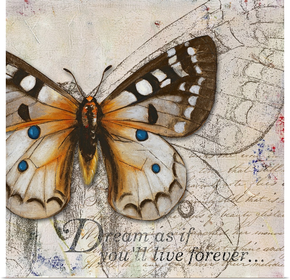 Square painting on canvas of a butterfly with the text "Dream as if you'll live forevero".