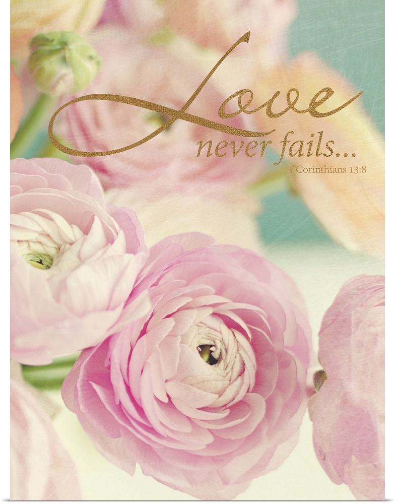 Pastel-toned image of pink flowers with a Bible verse.