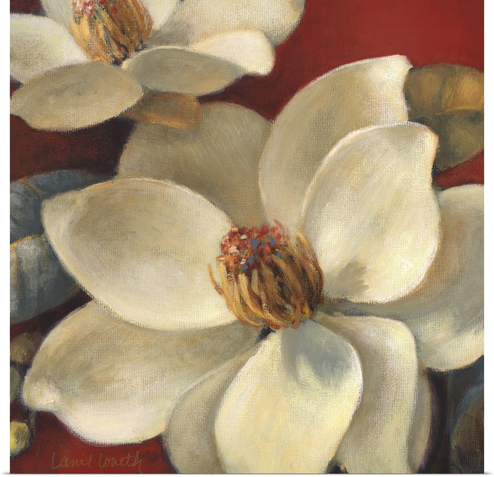 Floral painting of several white magnolia flowers on a red background.