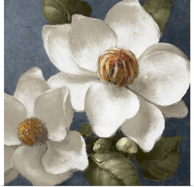 Magnolias on Blue II