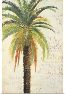 Palms And Scrolls II