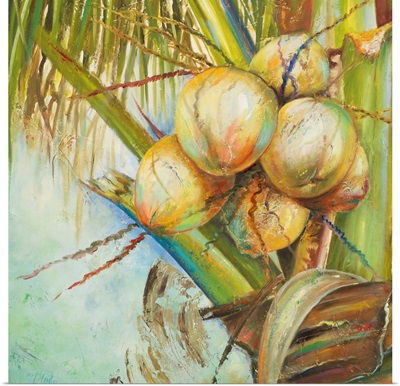 Patricia's Coconuts II