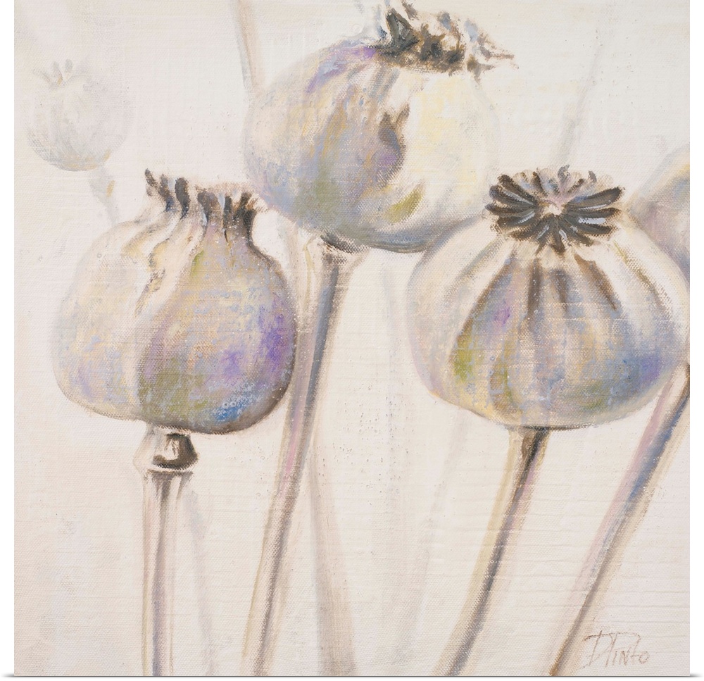 A soft and delicate contemporary painting of poppy buds before the bloom.