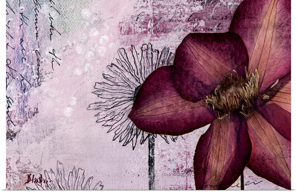 Large dried flower atop a mixed-media background with text and floral drawings.