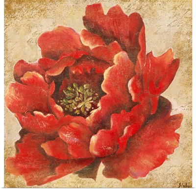 Red Peony on Gold