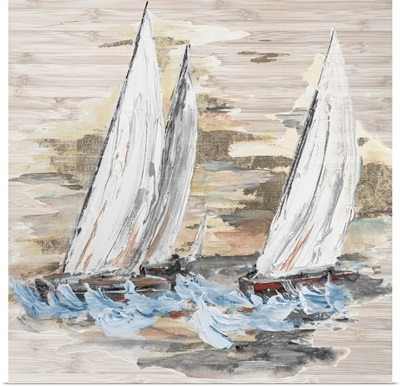 Rough Sailing II