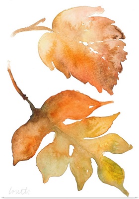 Rustic Autumn Leaves II
