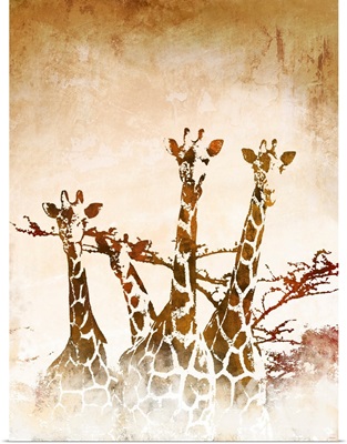 Safari Giraffe II