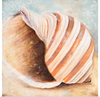 Seashell Collection I