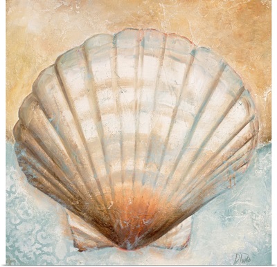 Seashell Collection III