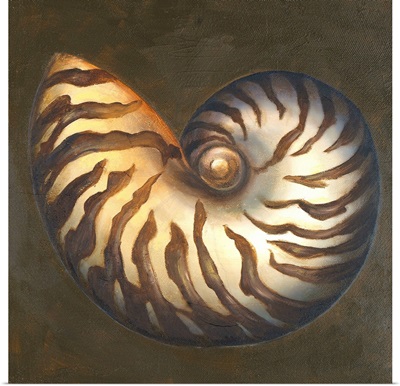 Seashell II