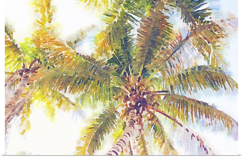 Watercolor painting of tropical palm trees seen from below.
