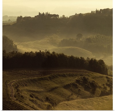 Sunrise Over Tuscany III