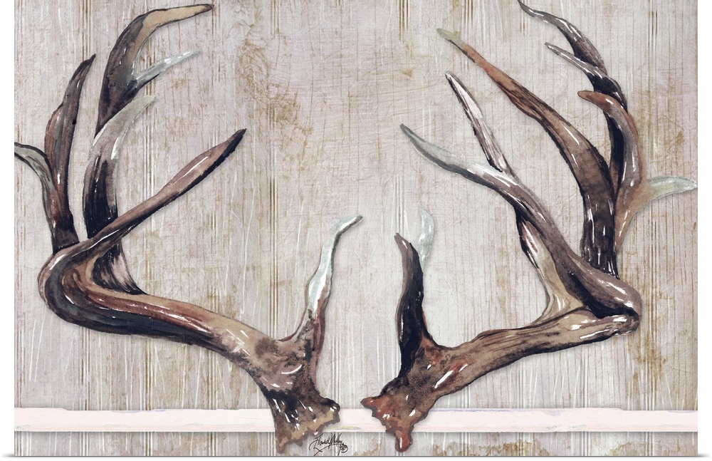 Painting of two sets of deer antlers with a wooden background.
